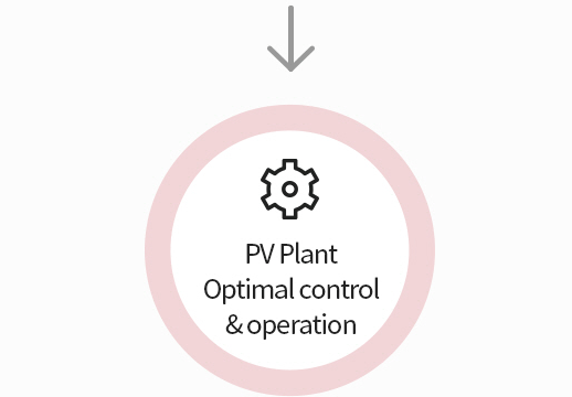 PV Plant Optimal control and operation