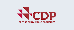 CDP(DRIVING SUSTAINABLE ECONOMIES)