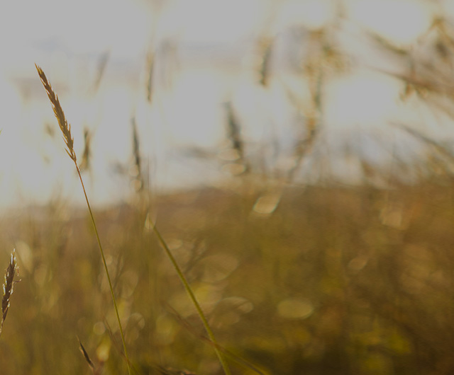 sustainablility main visual